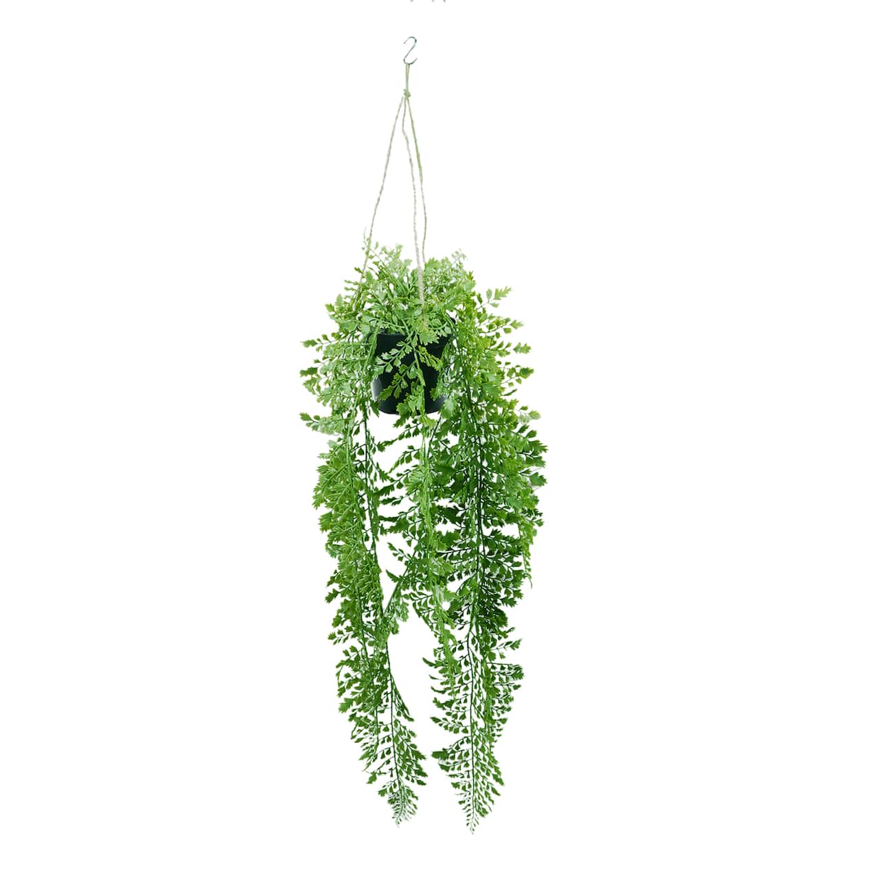 27" Hanging Potted Fern Plant by Ashland®